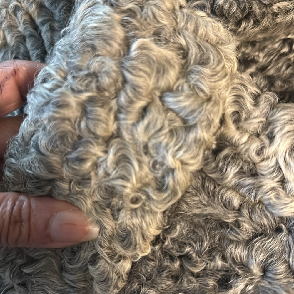 To big - Picture 4 of 6